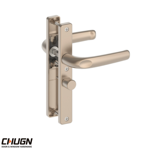 TAY NẮM CỬA (CDDMS049G-LS)